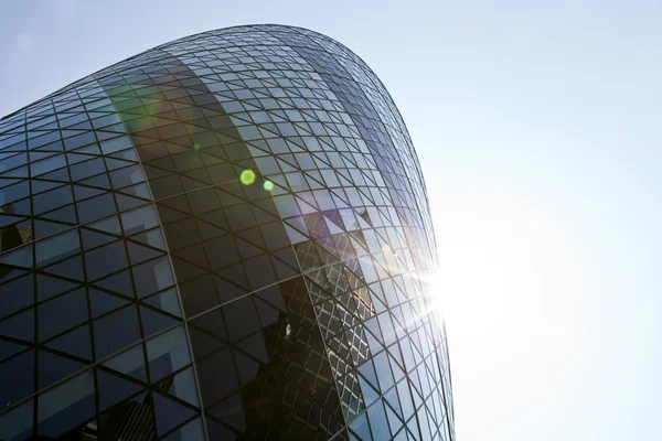 Gherkin — Stock Photo, Image