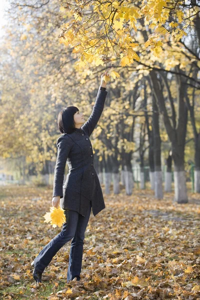 Femme recueillant des feuilles — Photo