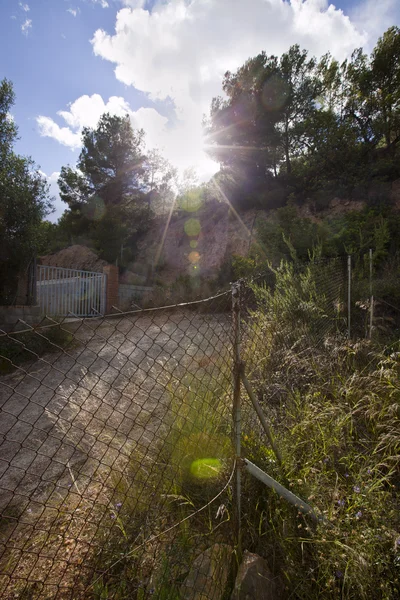 Rural road near Puçol Valencia — Stock Photo, Image