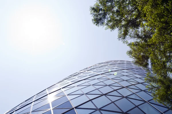 Gratte-ciel vu si les arbres — Photo