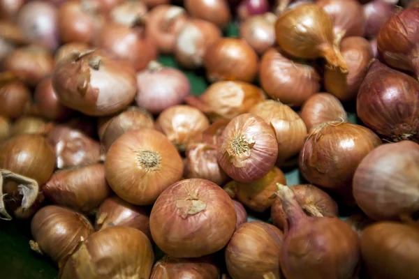 Cebollas en tienda de comestibles — Foto de Stock