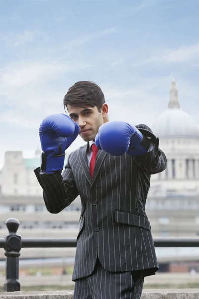 Indian businessman wearing boxing gloves — Stock Photo, Image