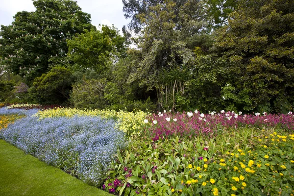 Large flower bed and trees — Stock Image Large flower bed and trees Stock Photo