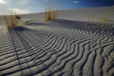 Sand ripples in desert USA clipart