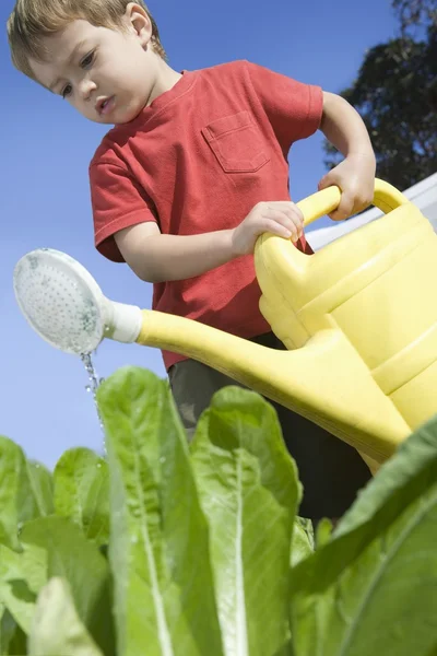 2 years old in vegetable garden with watering can — стоковое фото