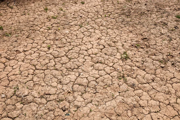 Kuru kırmızı toprak kırık — Stok fotoğraf