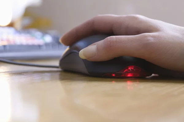 Computer mouse — Stock Photo, Image