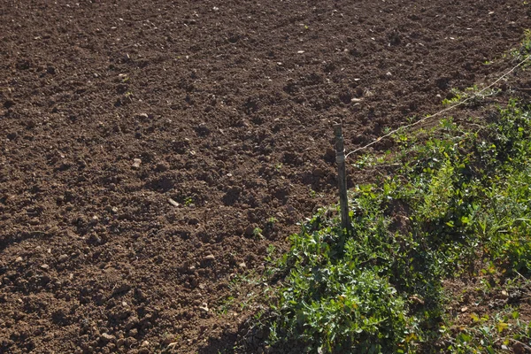 Campo agrícola arado — Foto de Stock