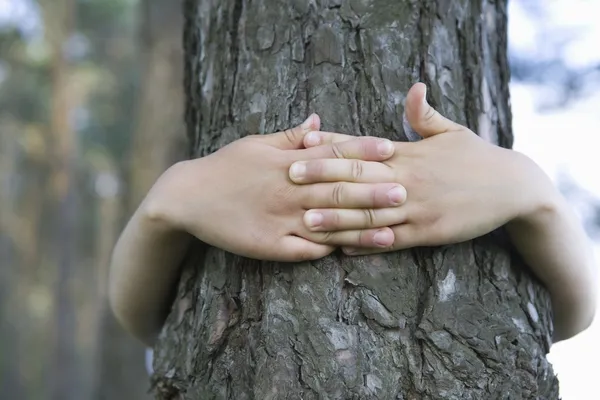 Niño con brazos alrededor del tronco del árbol — Foto de Stock