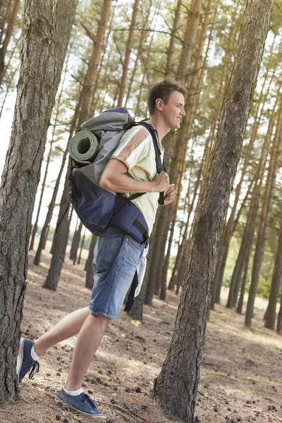 Randonneur masculin marchant dans la forêt — Photo