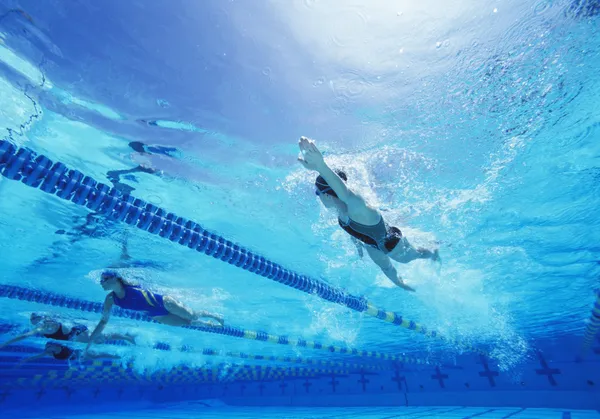 Női úszók — Stock Fotó