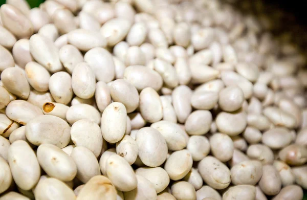 Jackfruit seeds in store — Stock Photo, Image