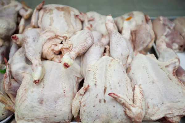 Pollos crudos en el supermercado — Foto de Stock