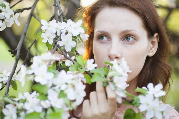 Redhead houdt bloesem — Stockfoto