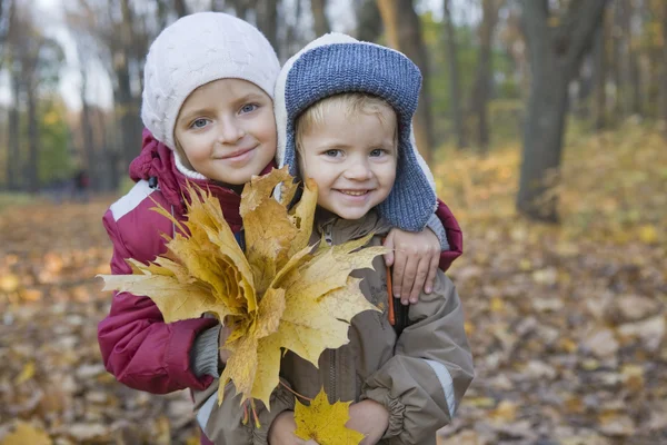 Irmão e irmã segurando folhas — Fotografia de Stock