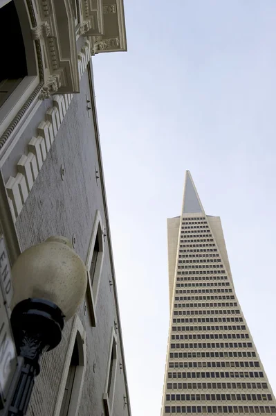 Transamerica Pyramid — Stock fotografie