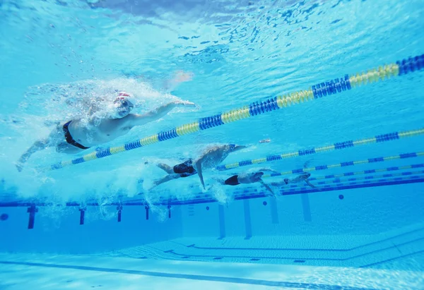 Atletas compitiendo en la piscina — Foto de Stock