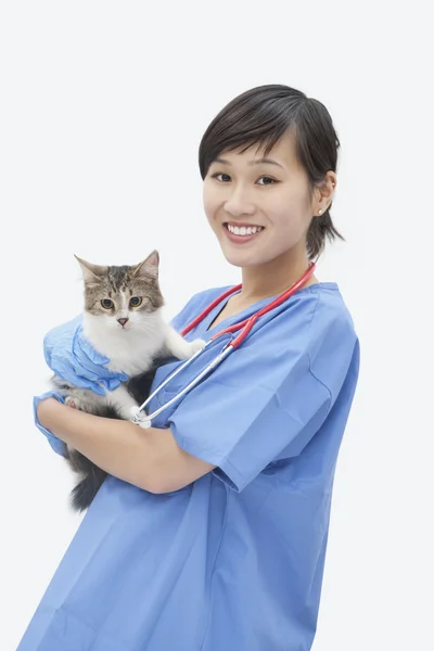 Asiática hembra veterinario holding gato — Foto de Stock