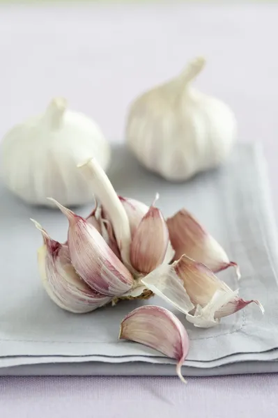 Reife Knoblauchknollen — Stockfoto