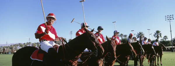 Polo spelers en umpire — Stockfoto