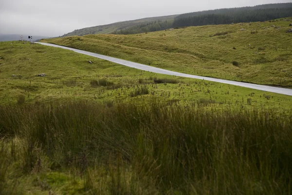 Rural road — Stock Photo, Image