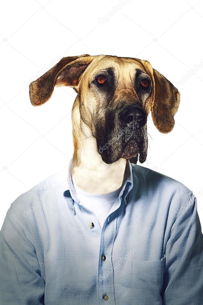Grumpy dog businessman