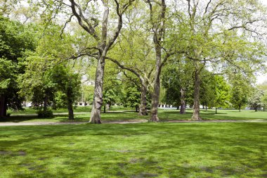 park içine gölgeli çim üzerinde göster