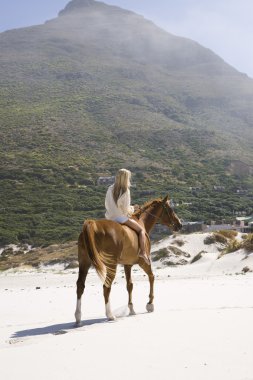 Woman riding horse on beach clipart