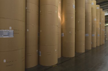 rolls of paper on factory