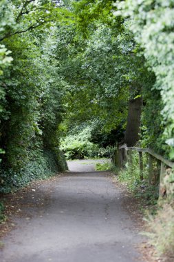 İngiliz kırsalında ülke şeritli