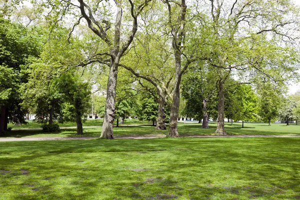 Blick über schattiges Gras in den Park — Stockfoto