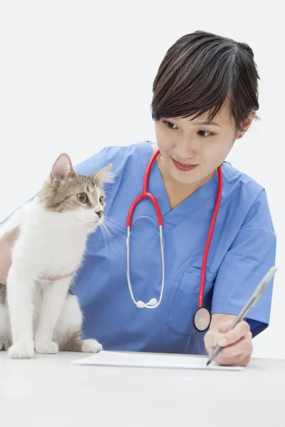 Veterinaria mirando al gato — Foto de Stock