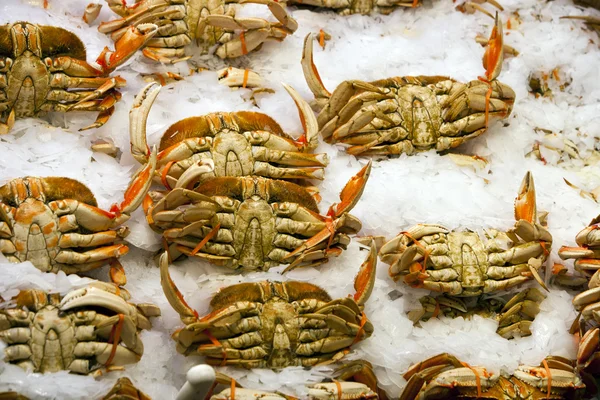 Cangrejos en el mercado de pescado — Foto de Stock