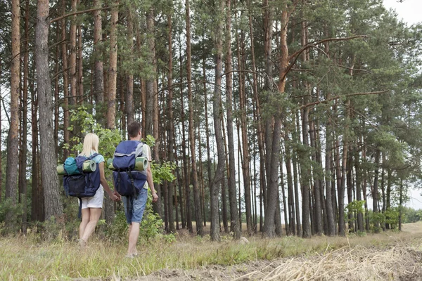 Backpackers holding hands in woods — Stock Photo, Image