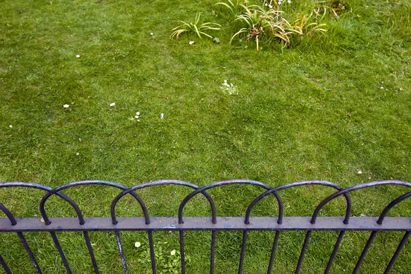 Grass behind small fence — Stock Photo, Image