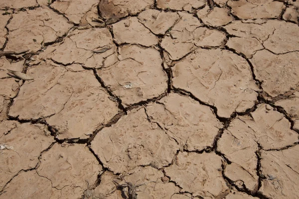 Dry cracked soil — Stock Photo, Image