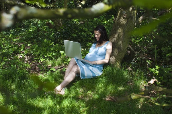 孕妇在树林里使用笔记本电脑 — 图库照片