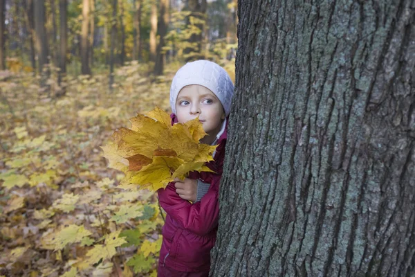 Niña sosteniendo hojas — Foto de Stock