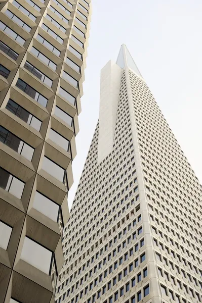サンフランシスコのトランス アメリカ ピラミッド — ストック写真