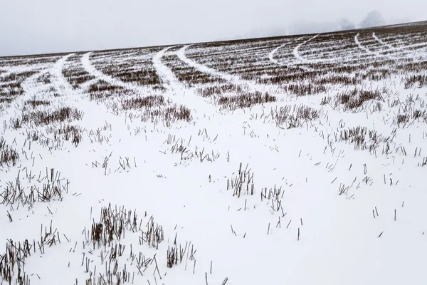 Overdekte sneeuwveld — Stockfoto