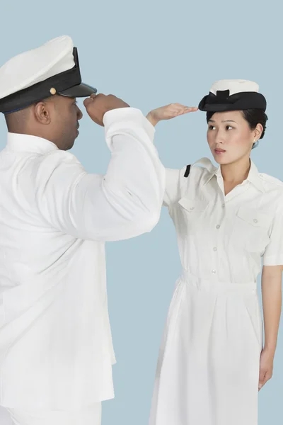 Офицеры флота приветствуют — стоковое фото
