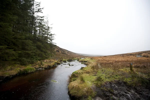 Εθνικό πάρκο Wicklow — Φωτογραφία Αρχείου