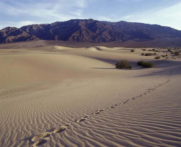 Single track of footsteps in — Stock Photo, Image