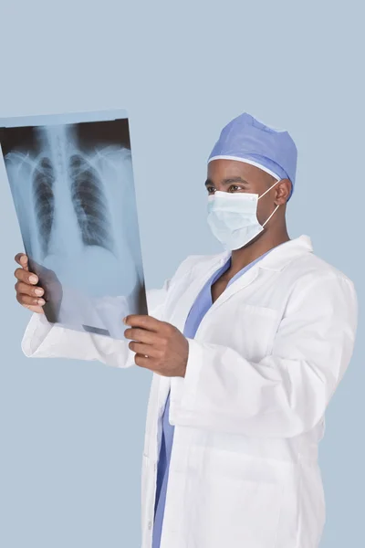 Доктор анализирует рентгеновский отчет — стоковое фото