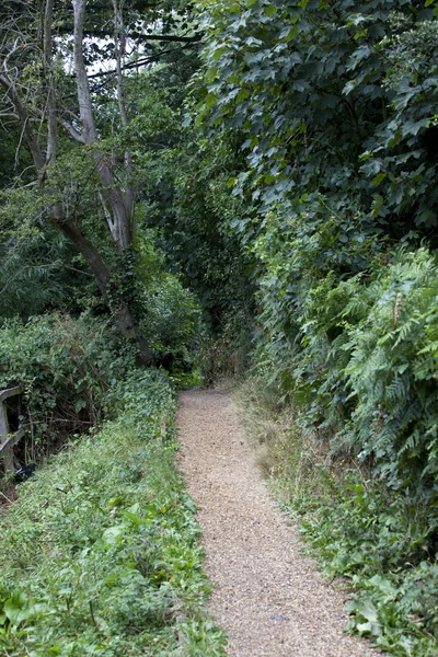 Country Lane dans la campagne britannique — Photo