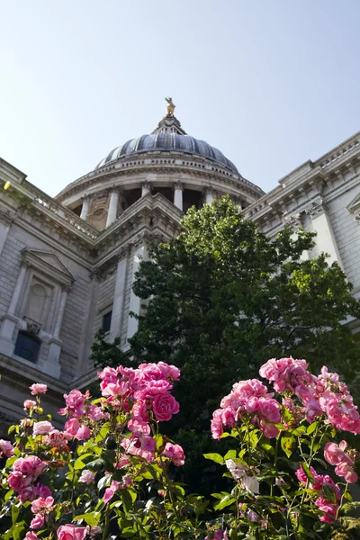 Sankt Pauls katedral — Stockfoto