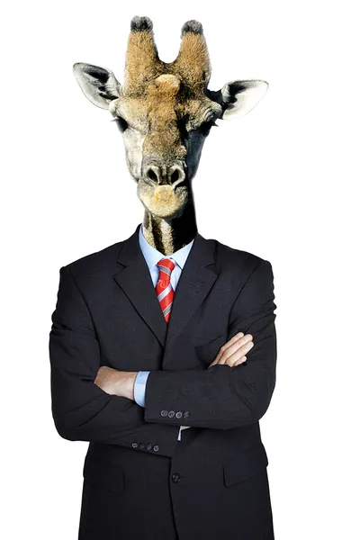 Homem de negócios Girafa — Fotografia de Stock