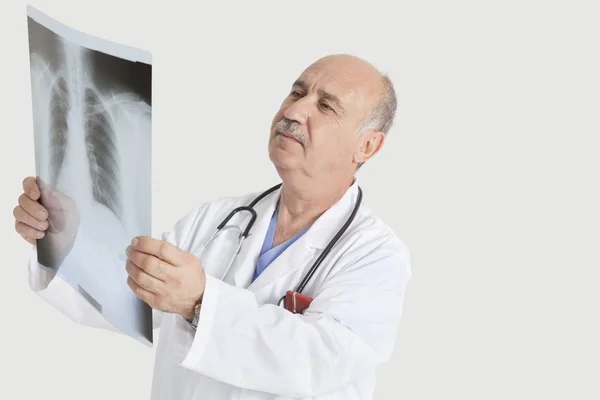 Doctor examining medical radiograph — Stock Photo, Image