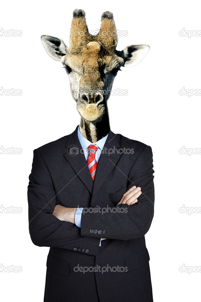 Giraffe business man