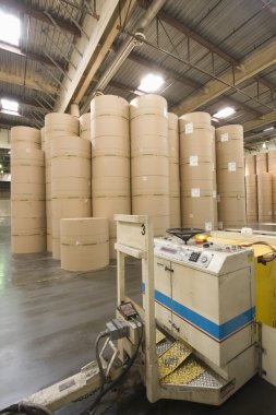 Gazete fabrika rulo